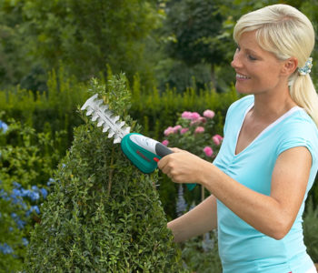 BOSCH - כלי גינון