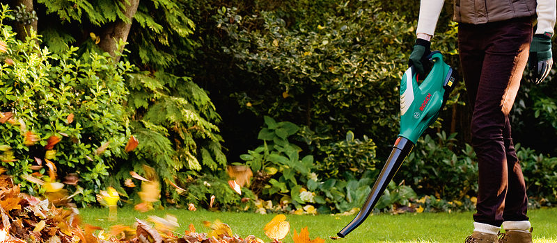  מפוח/שואב עלים